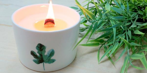 Botanische Holzdocht Sojakerzen – Natürliche Atmosphäre mit knisterndem Flair