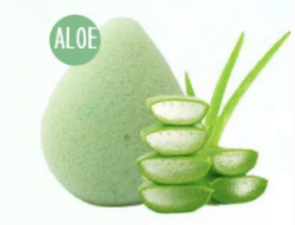Konjac-Schwamm Aloe Vera – beruhigende und pflegende Reinigung aus der Natur